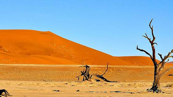 Blog Reiselexikon: Namibia © lgullan pixabay