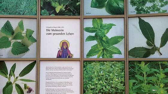 Bingen am Rhein: Wer war Hildegard von Bingen? © Lion Tours GmbH