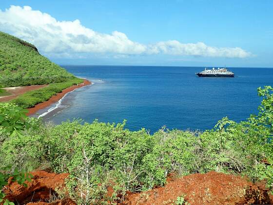 Galapagos Insel Rabida, Ecuador