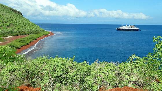 Galapagos Insel Rabida, Ecuador