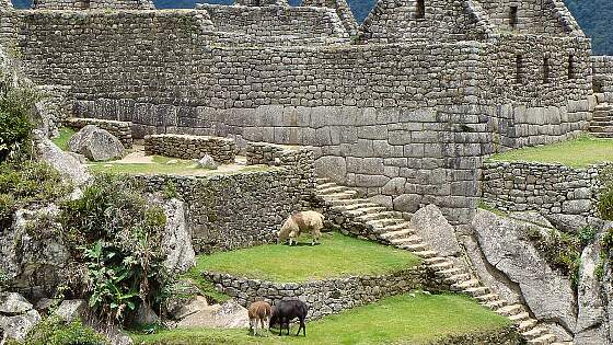 Ruinen von Machu Picchu, Peru