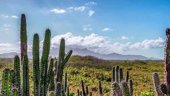Venezuela: Peninsula de Macanao