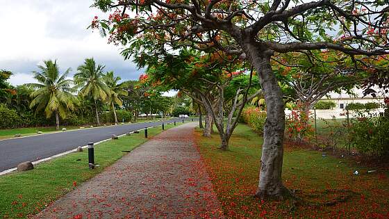Fidschi: in Suva