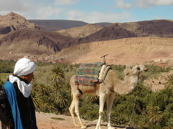 Berber in Marokko