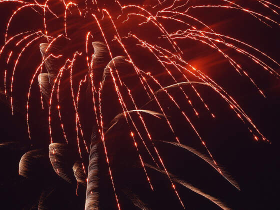 rotes Feuerwerk