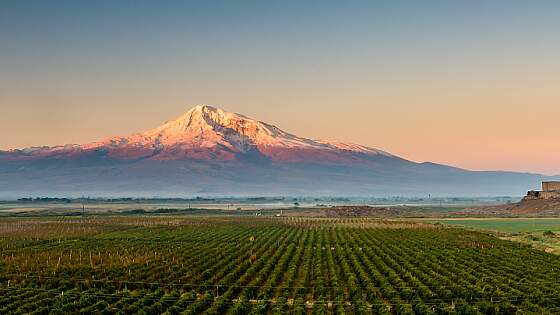 Armenien: Weinberge und Berg Ararat