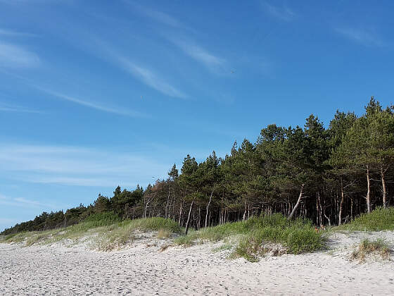 Dünen der Kurischen Nehrung, Litauen
