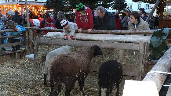 Weihnachtsmarkt in Linz an der Donau