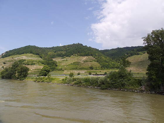 in der Wachau, Österreich