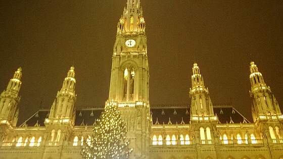 Wien: beleuchtetes Rathaus im Advent