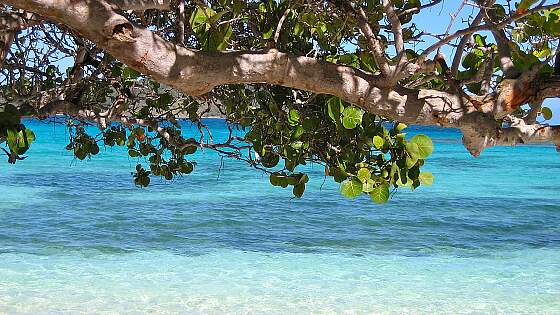 Strandleben auf Barbados