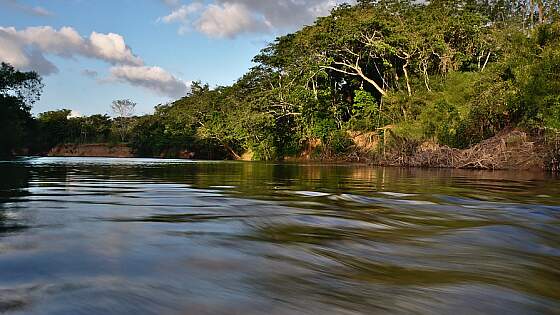 Belize: Belize River