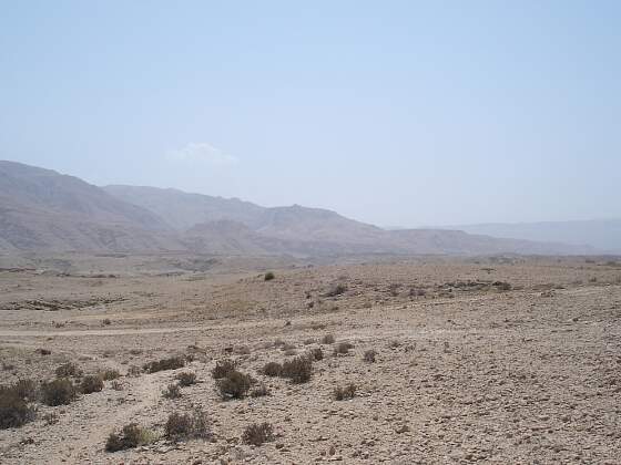 Wüstenlandschaft im Oman