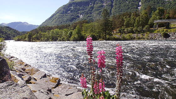 am Eio in Eidfjord, Norwegen