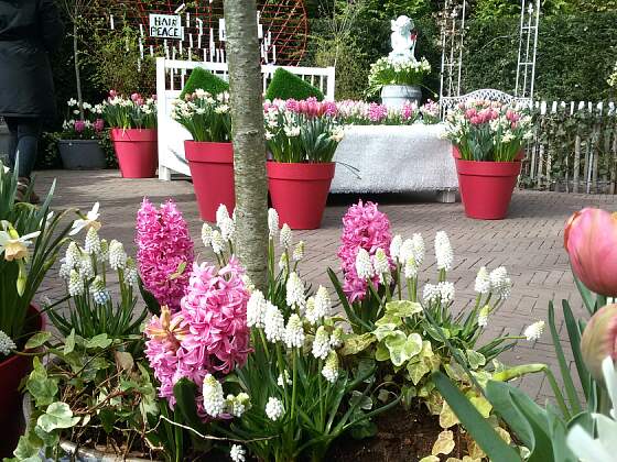 Blumenpark Keukenhof in Lisse, Holland