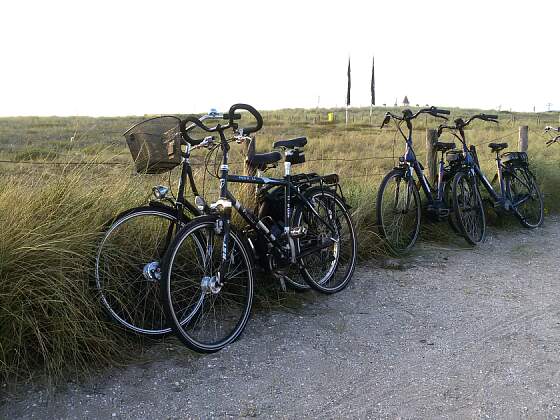 Räder an der Küste in Holland