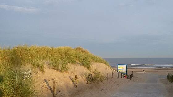 Durch die Dünen zum Strand in Holland