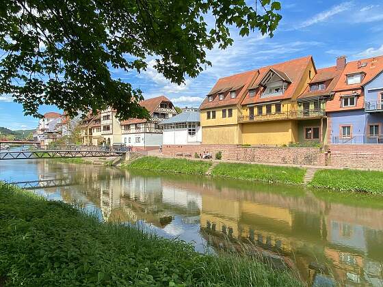 Wertheim: Blick auf die Tauber und Altstadt