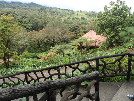 Dschungel Lodge in Costa Rica