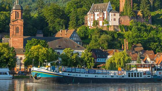 MS Allure vor Miltenberg