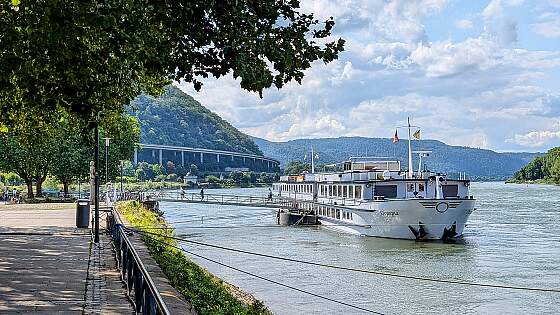 MS Oympia: bei Andernach am Rhein