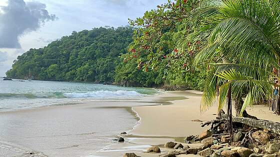 Strand auf Tobago