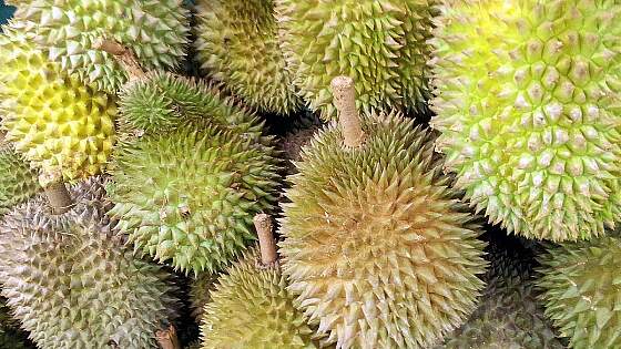 Durian-Frucht, Malaysia