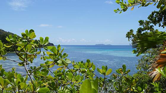 Seychellen: Blick auf das Meer