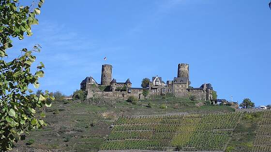 Burg Thurant in Alken