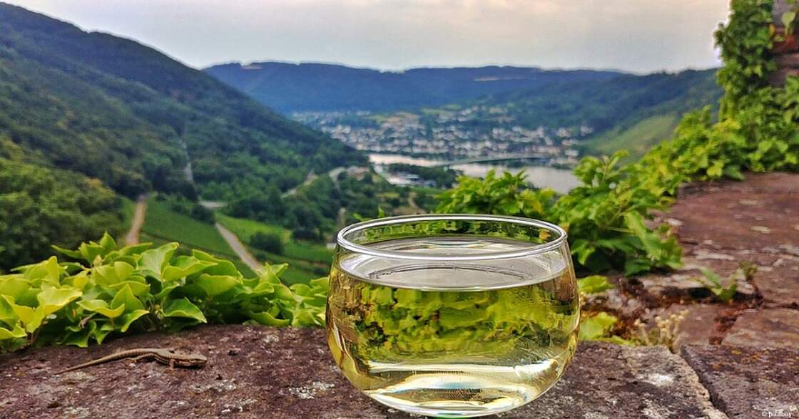 Moselweine