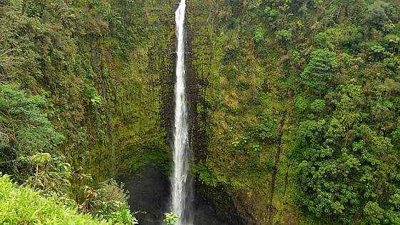 Hilo, Hawaii: Akaka Wasserfall