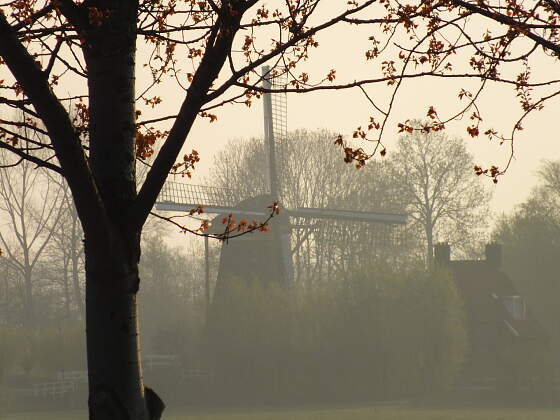 Holland: Windmühle im Nebel