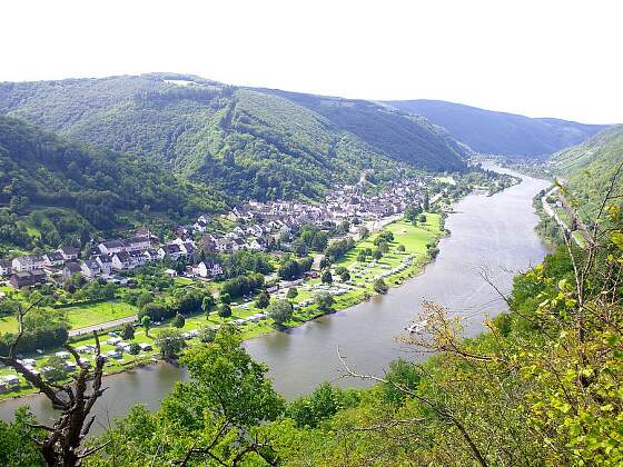 Blick über die Mosel