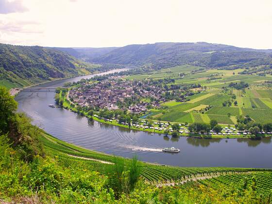 Blick auf Trittenheim an der Mittelmosel