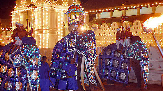 Sri Lanka: Kandy Esala Perahera Fest