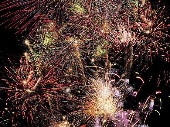 Silvesterreise - MS Rhein Prinzessin