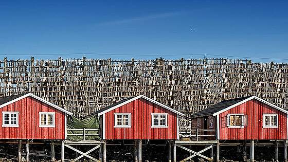 auf den Lofoten