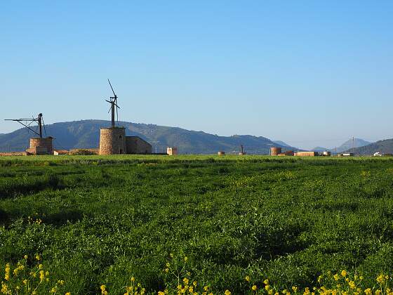 Windmühlen auf Mallorca, Spanien