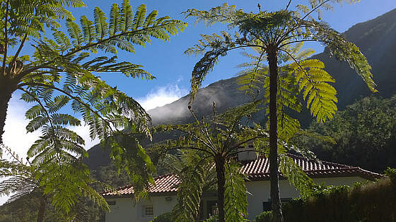 Landschaft auf Madeira