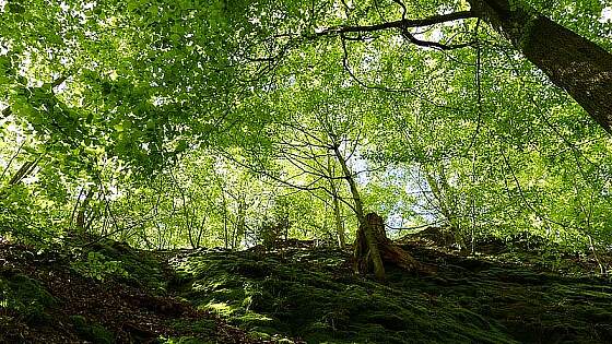 Rennsteig: Drachenschlucht