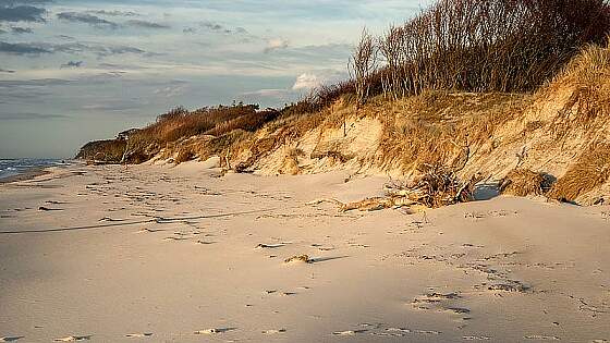 Fischland: Weststrand