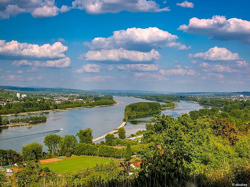 Nolin Rhein Radreise - Rhein: Winzertour