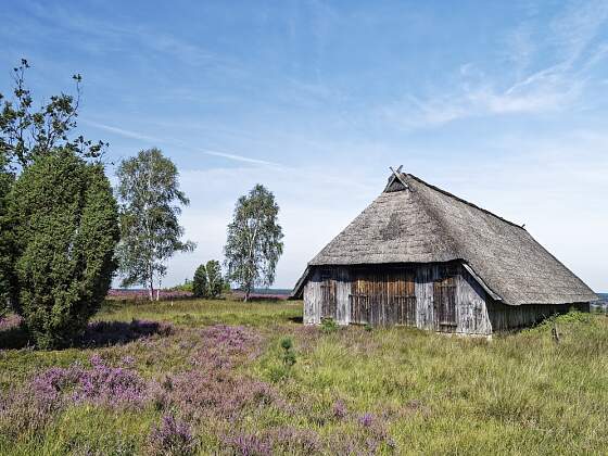 in der Lüneburger Heide