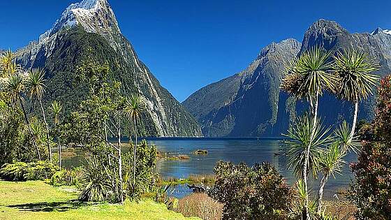 Milford Sound im Fiordland-Nationalpark