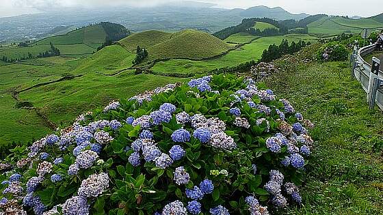 Azoren - Sao Miguel