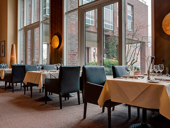 Radisson Blu Senator Hotel: Nautilo Restaurant