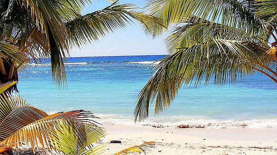 am Strand von Dominica